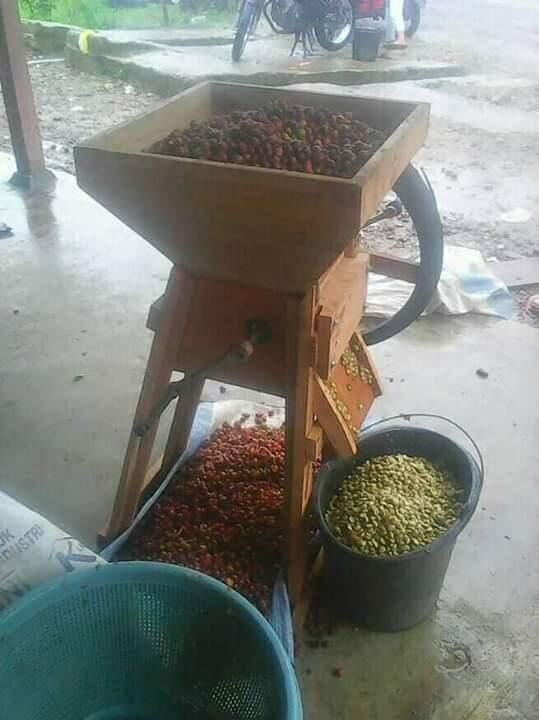 &#91;COC Bisnis&#93; Pandemi Covid-19 Mencekik Petani Kopi, Begini Cara Mereka Bertahan!