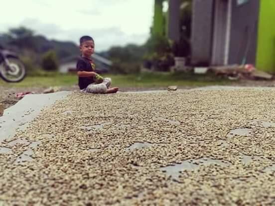 &#91;COC Bisnis&#93; Pandemi Covid-19 Mencekik Petani Kopi, Begini Cara Mereka Bertahan!