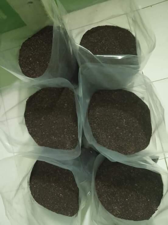 &#91;COC Bisnis&#93; Pandemi Covid-19 Mencekik Petani Kopi, Begini Cara Mereka Bertahan!