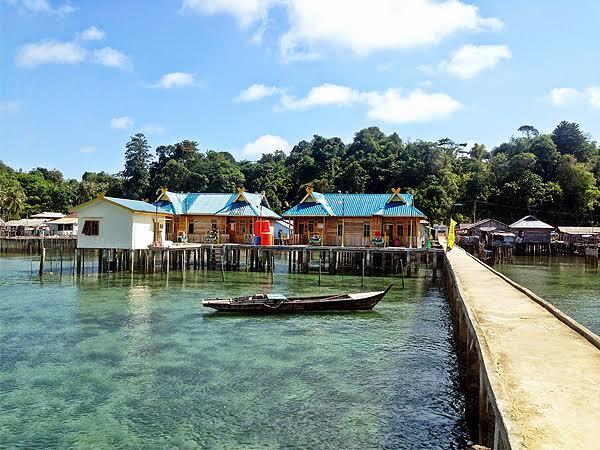 &#91;COC Reg. Batam&#93; Blue Coral, Terumbu Karang Langka Pulau Abang Batam. Amazing Bukan?