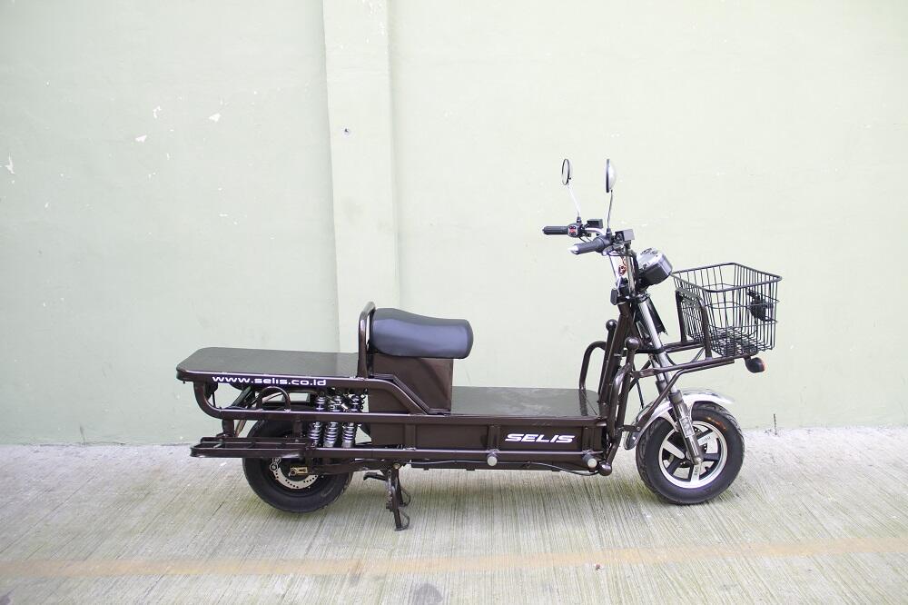 8 Motor Listrik Selis Terbaik, Apa saja?