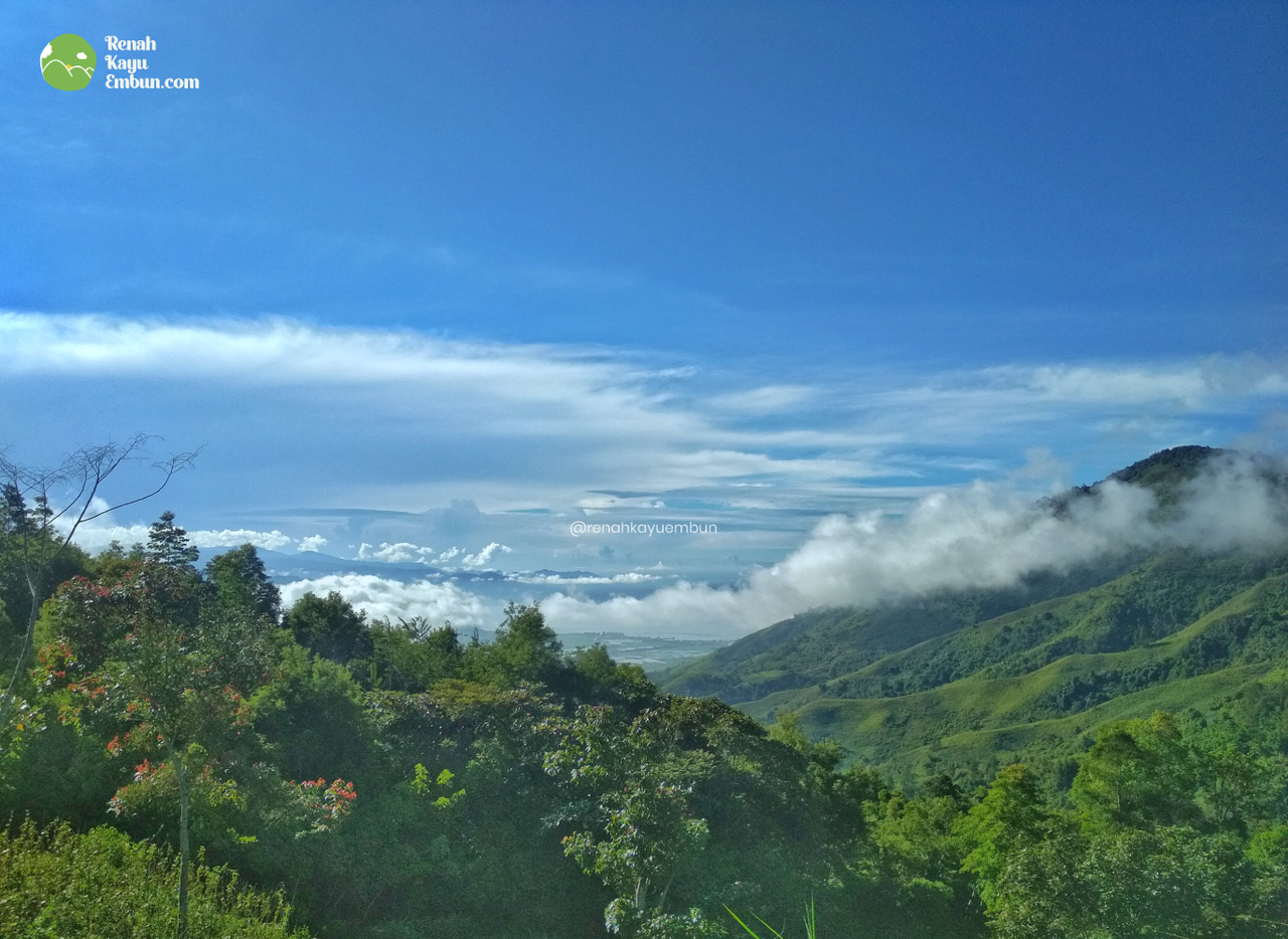 Renah Kayu Embun, Desa diatas awan di Jambiyang kaya potensi wisata