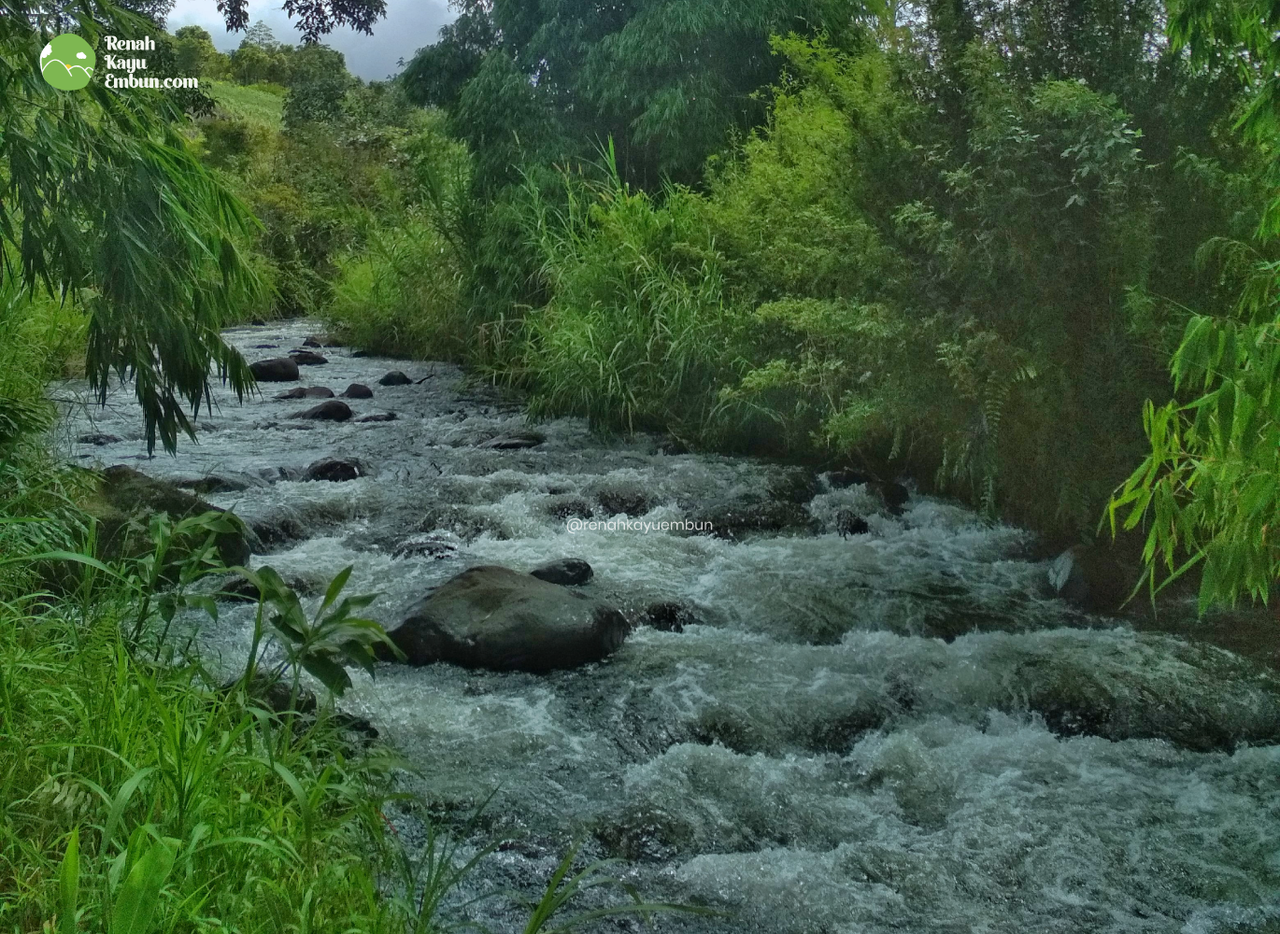 Renah Kayu Embun, Desa diatas awan di Jambiyang kaya potensi wisata