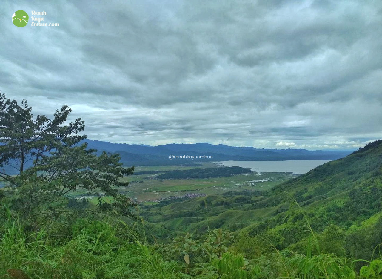 Renah Kayu Embun, Desa diatas awan di Jambiyang kaya potensi wisata