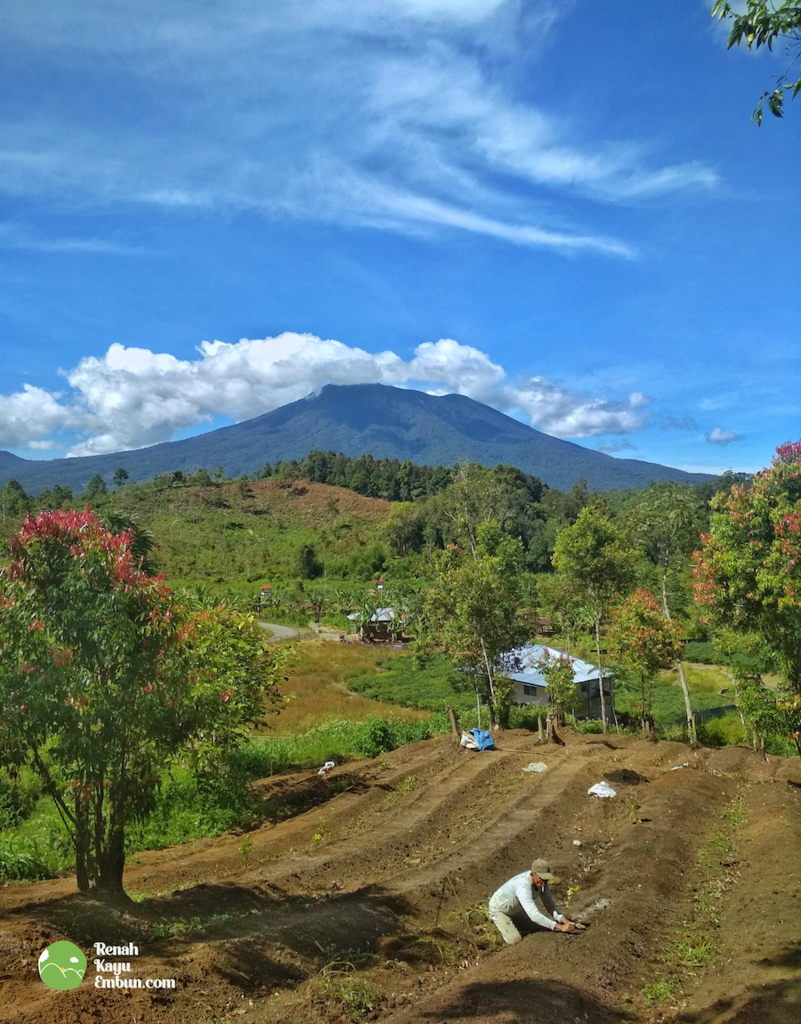 Renah Kayu Embun, Desa diatas awan di Jambiyang kaya potensi wisata