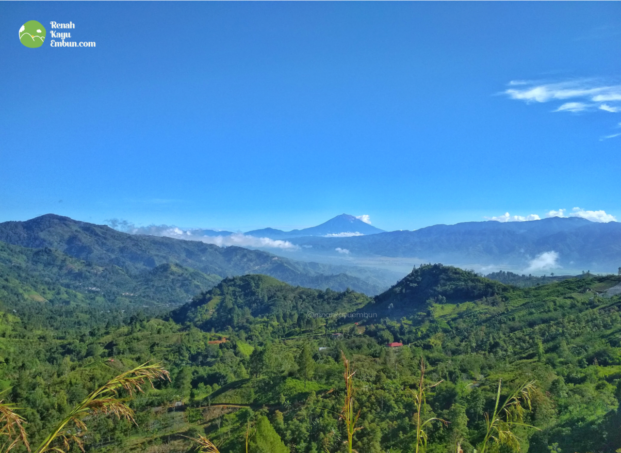 6 Hal Mengenai Renah Kayu Embun, Desa Diatas Awan di Jambi yang Perlu Kamu Tau