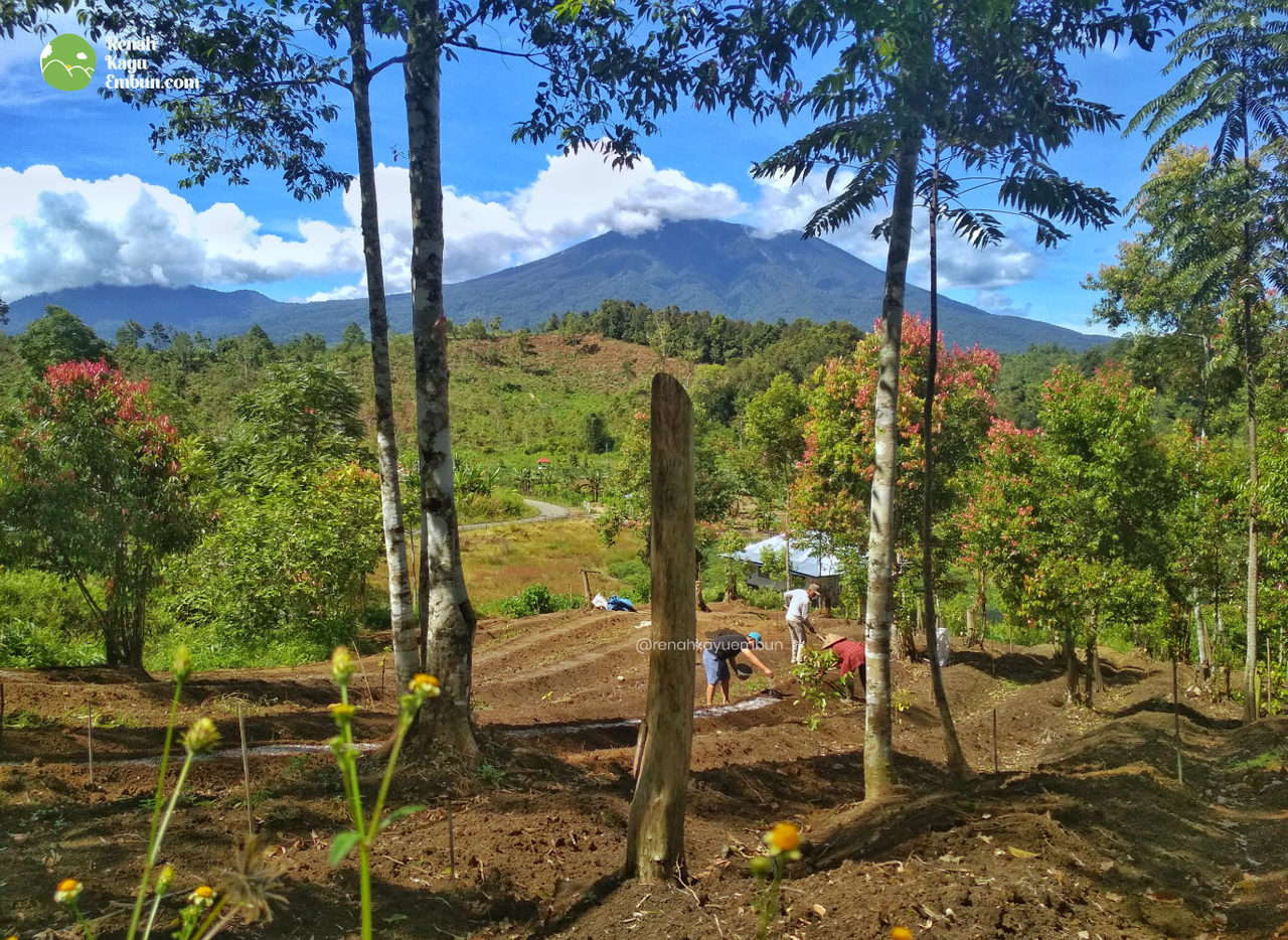 6 Hal Mengenai Renah Kayu Embun, Desa Diatas Awan di Jambi yang Perlu Kamu Tau