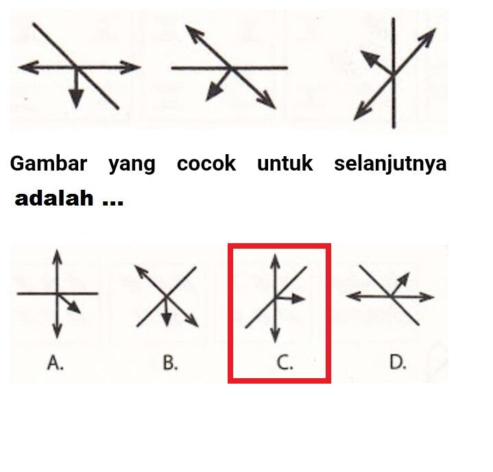 Deretan Contoh Soal Psikotest dan Jawaban nya