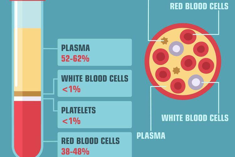 Terapi Plasma Konvalesen Sebagai Pengobatan Pasien Covid-19