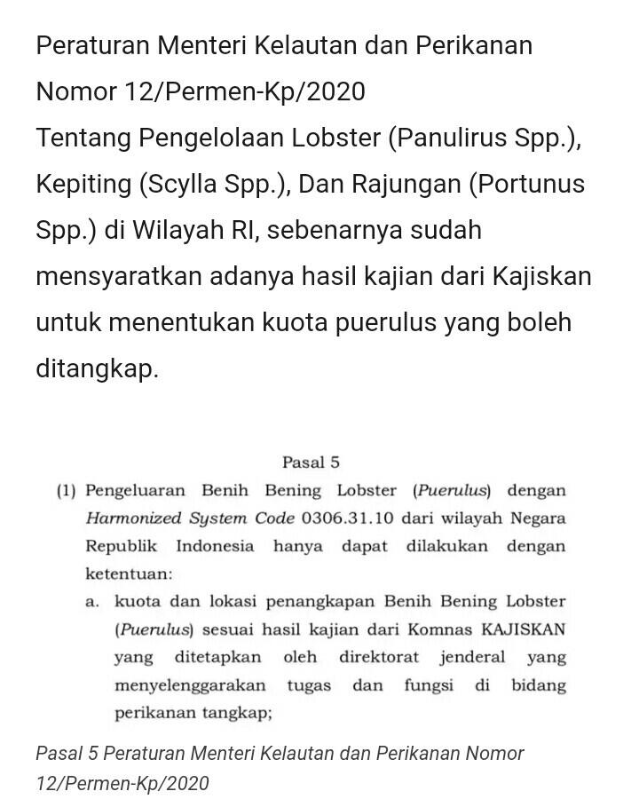 Susi Pudjiastuti: Saya Mohon Pak Presiden...