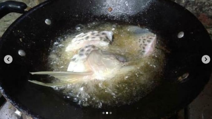 Pria Asal Sukoharjo Pasrah Ikan Arwana Rp 2 Juta Miliknya Digoreng sang Ayah