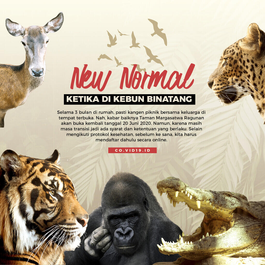 Protokol New Normal di Kebun Binatang