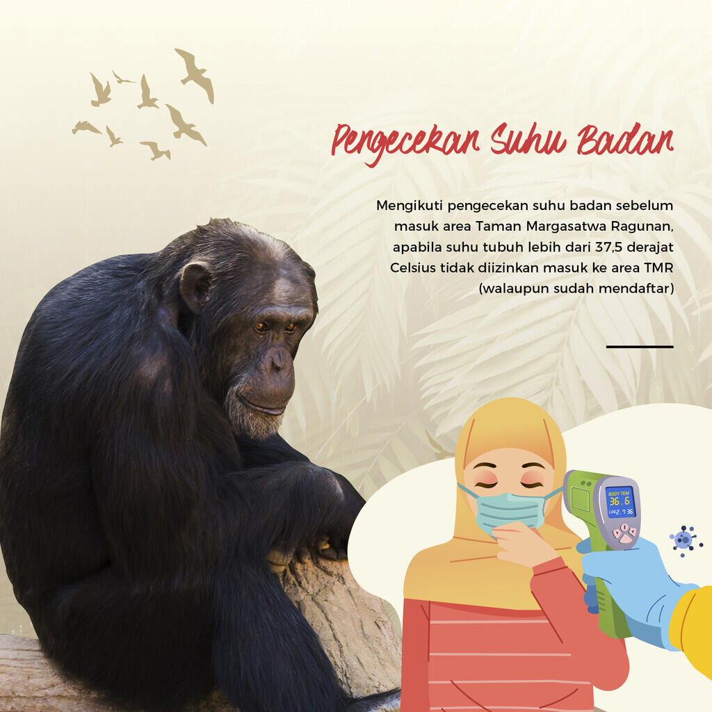 Protokol New Normal di Kebun Binatang