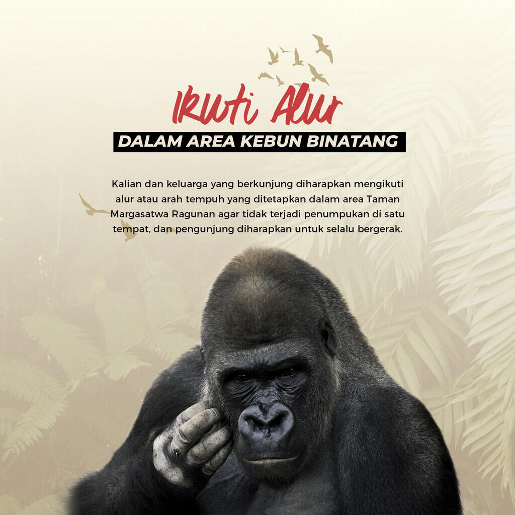 Protokol New Normal di Kebun Binatang