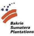 Lowongan Kerja S1 Di PT. Bakrie Sumatra Plantations Tbk Sumatera Utara Juni 2020
