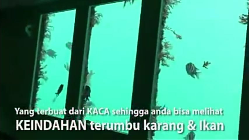 &#91;COC Reg. Batam&#93; Tetap Kering! Nikmati Keindahan Bawah Laut di KEPRI CORAL Batam 