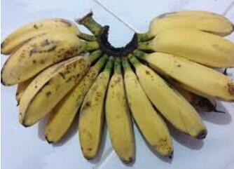 Pisang, Oo Pisang