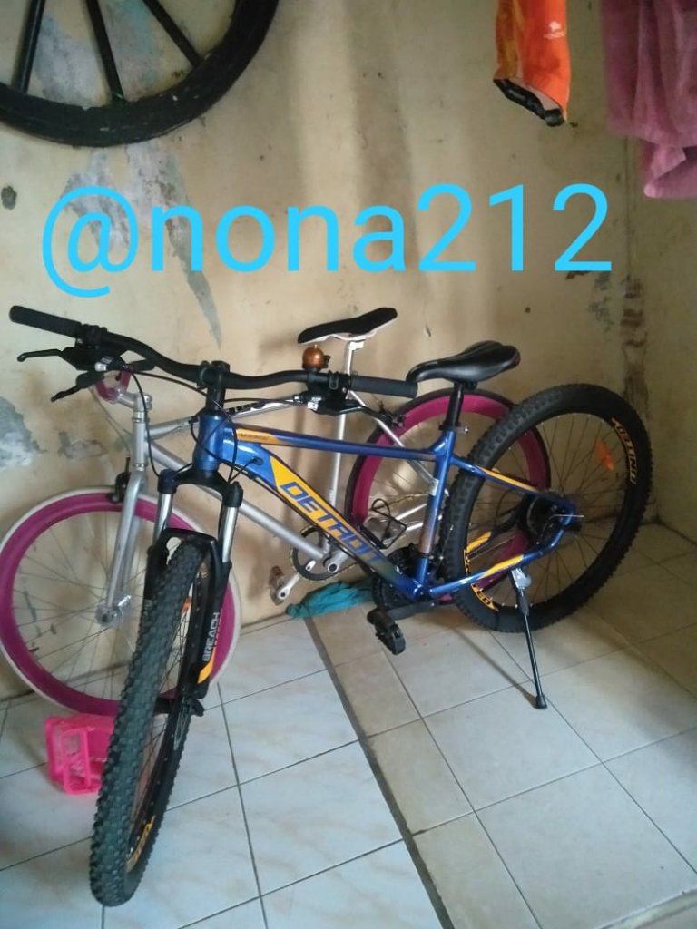 Cintai Lingkungan, Mari Bersepeda!