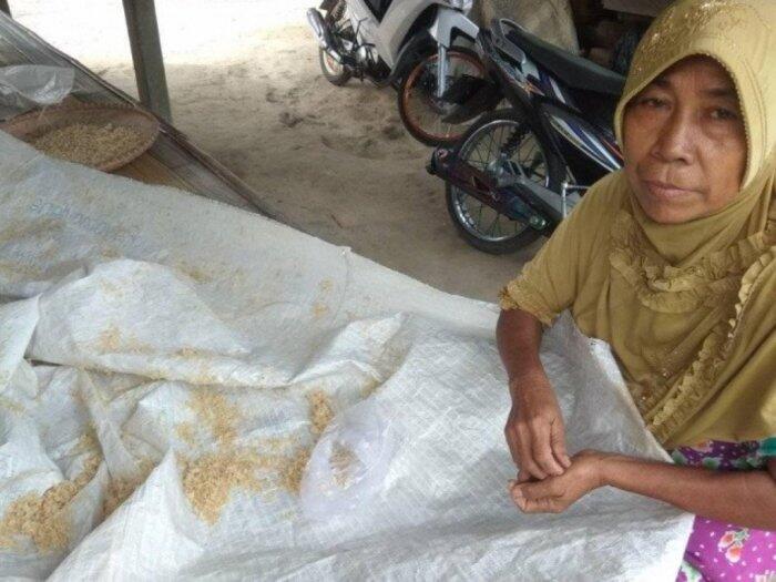 Sedih, Nenek Janda 60 Tahun di Lebak Banten Makan Nasi Bekas, Tak Dapat Bansos