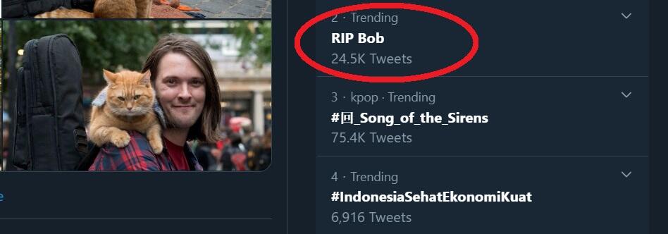 RIP Bob Trending di Twitter, Ini Kisah Kucing Oren yang Menginspirasi