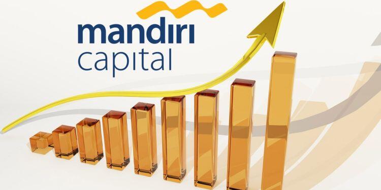 Karena Pandemi Covid-19, Mandiri Capital Hindari Startup yang Bakar Uang