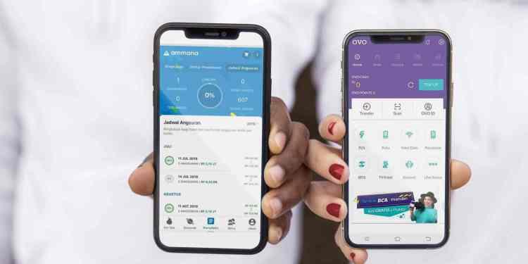 Waduh! Kata YLKI, Akses Data Kemendagri untuk Pinjaman Online Lewati Batas