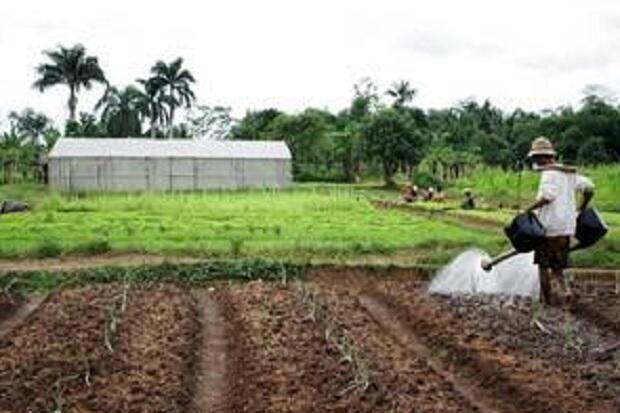 Industri di Jatim Didominasi Sektor Agro