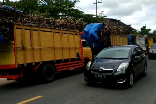 Antrean Truk Masuk Pabrik Gula Mengular, Jalur Blitar-Malang Macet