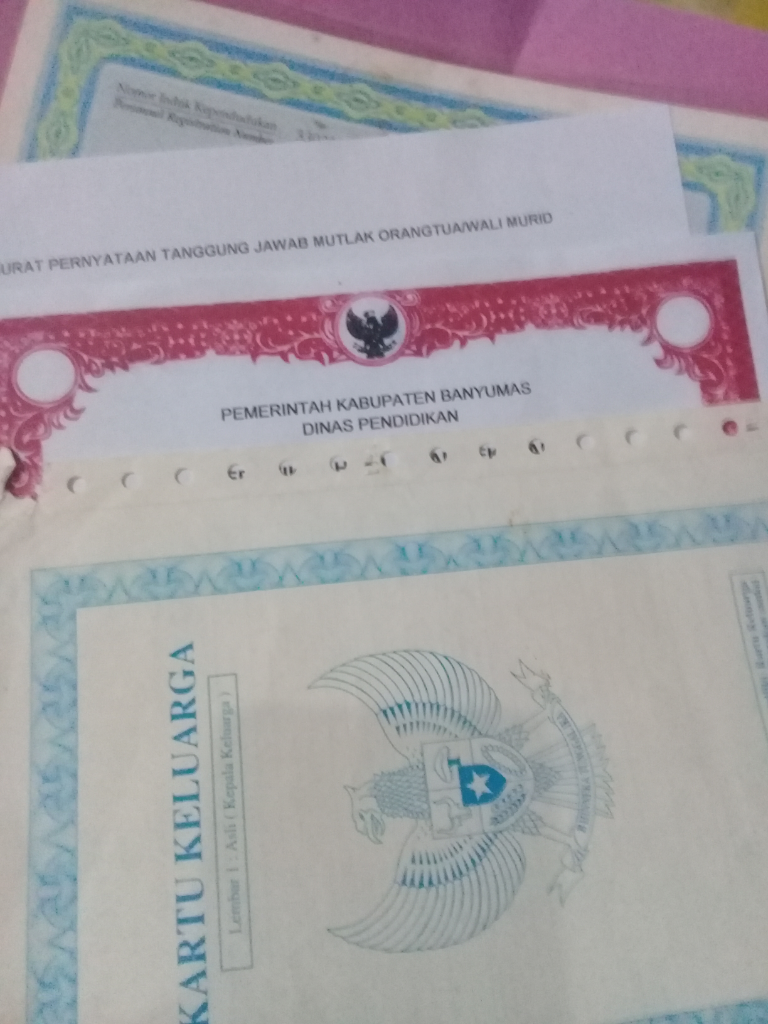 Cara Pendaftaran Online PPDB 2020