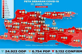 Banyak Data Konfirmasi Covid-19 Tak Valid Dikembalikan ke Pemprov