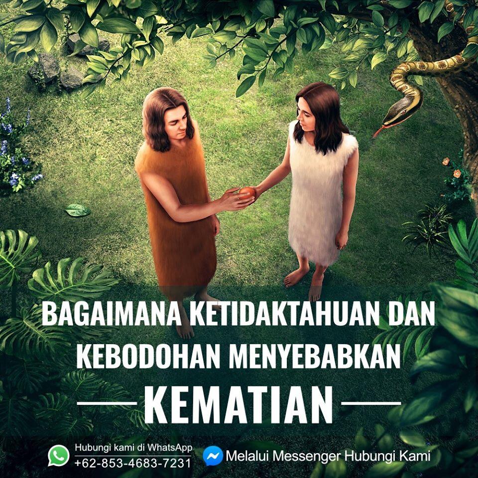 Bagaimana kebodohan dan kebebalan menyebabkan kematian?
