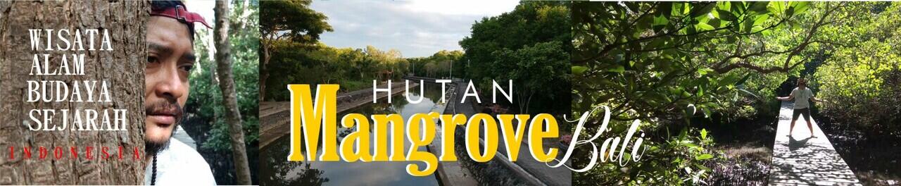 Hutan Mangrove , Bali - Wisata alam yang penuh nilai edukasi pengetahuan
