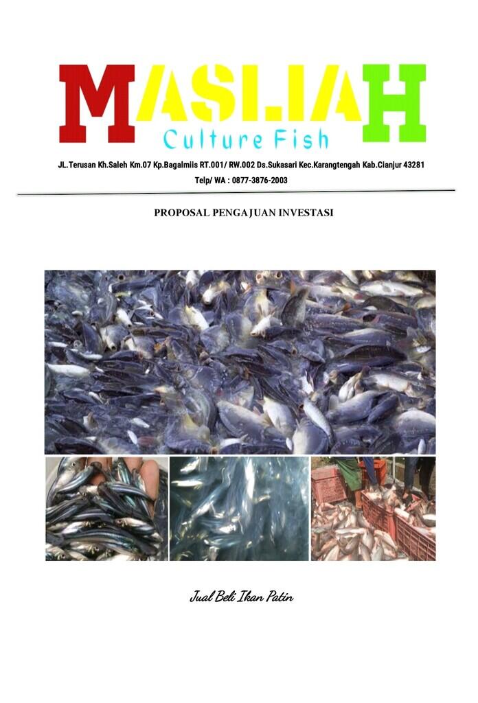 Butuh Investor Kerja Sama di bidang Jual Beli Ikan Patin