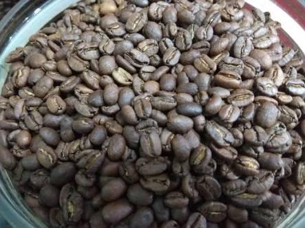 &#91;CoC Reg. Jambi&#93; Jambi's Exotic Coffee Perpaduan Kopi Arabika, Liberika, dan Robusta