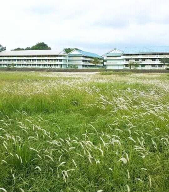 &#91;COC Regional Batam&#93; Muka Kuning, PT, Dorm, Teh Obeng, Tabebuya, Cita dan Kenangan