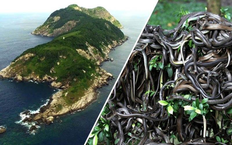 Tak Disangka, Ternyata Inilah Tempat Paling Berbahaya di Dunia Bagi Manusia