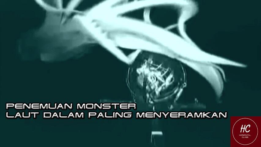 Penemuan Monster Laut Dalam Paling Menyeramkan &#91;Vidio&#93;