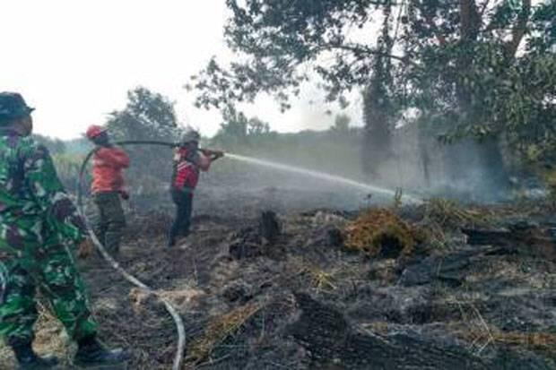 Pemerintah Klaim Kebakaran Hutan dan Lahan Berhasil Diminimalisir