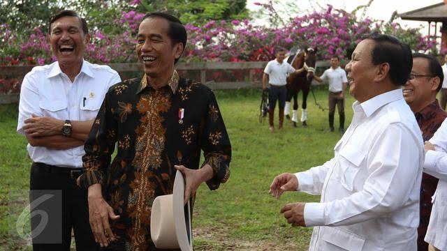 Mengenal Mineral Rare Earth yang Dibahas Luhut dan Prabowo