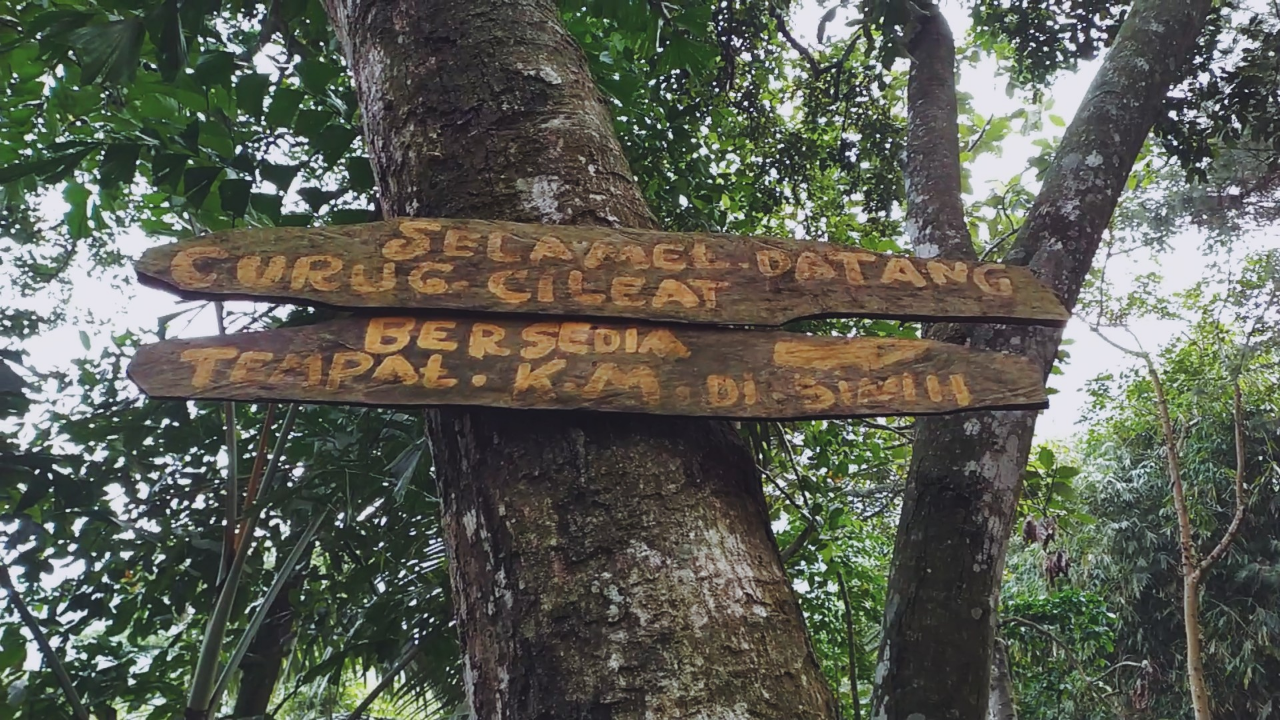 &#91;Jurnal&#93; Trekking CURUG CILEAT, Subang