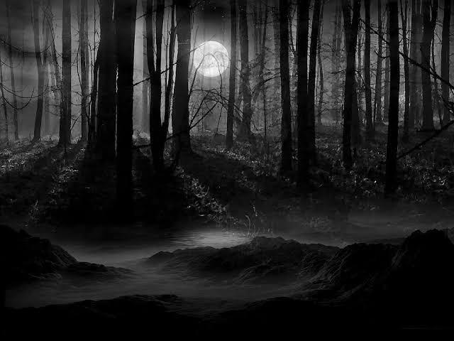 10 Hutan Angker di Dunia, Nomor 3 dan 2 Ada di Indonesia Loh guys