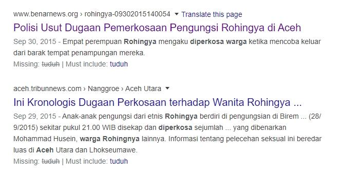 Pengungsi Rohingya Terdampar di Aceh, Amnesty Desak Indonesia Beri Perlindungan