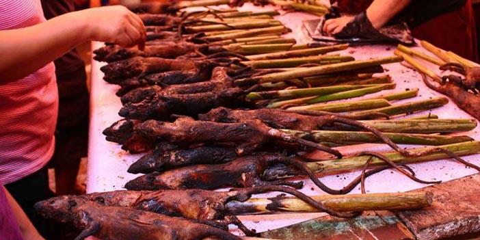 Berbagai Makanan Ekstrem di Indonesia, Apa Rasanya ya?