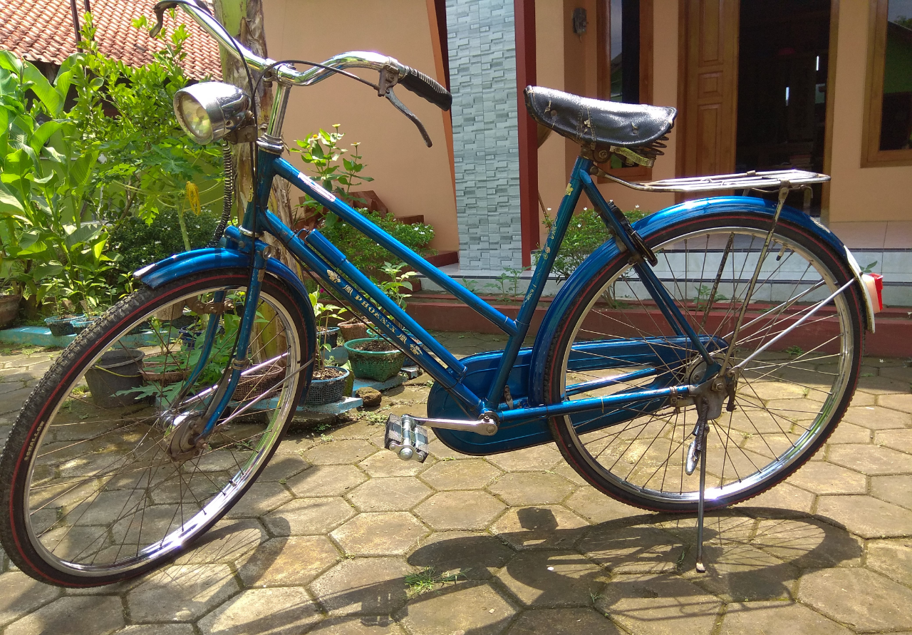 Si Biru Teman Setiaku