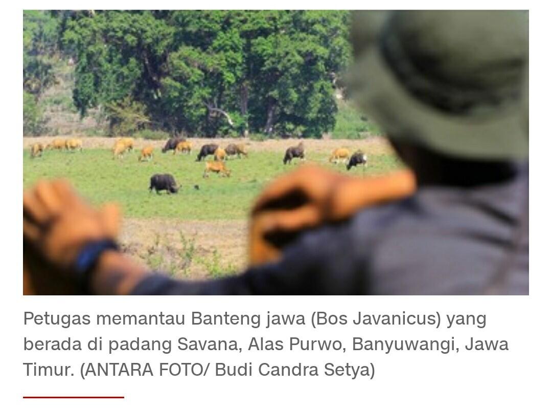 Syarat Baru Mendaki Gunung di Tengah Pandemi Corona