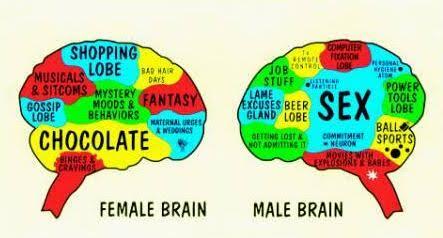 Bias Perjuangan Kaum Feminis