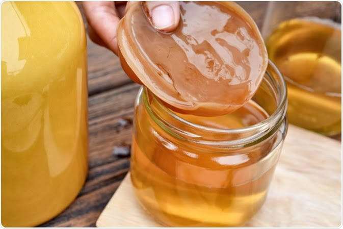 Masih Belum Tau Makanan Probiotik Tinggi? Yuk Cek Apa Makananmu termasuk