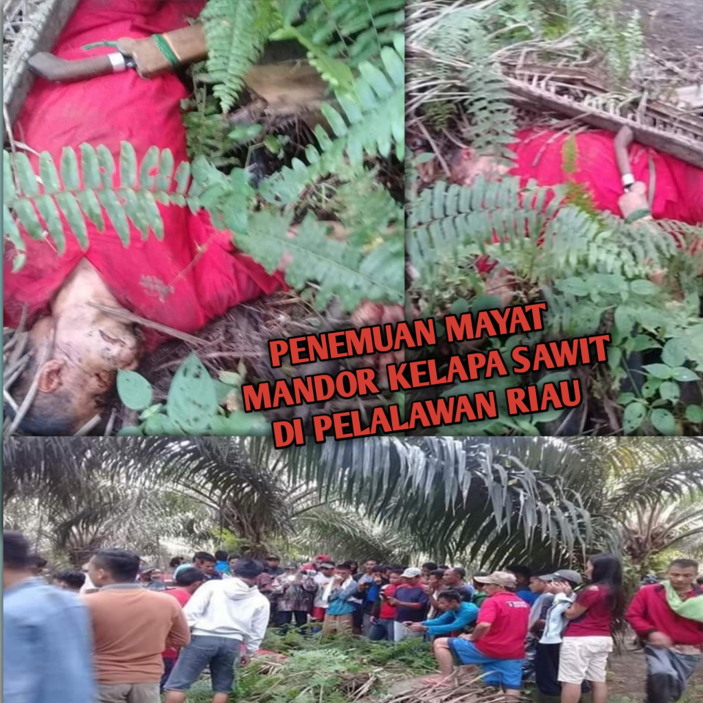 Pembunuhan Sadis Mandor PT. Sawit Di Riau