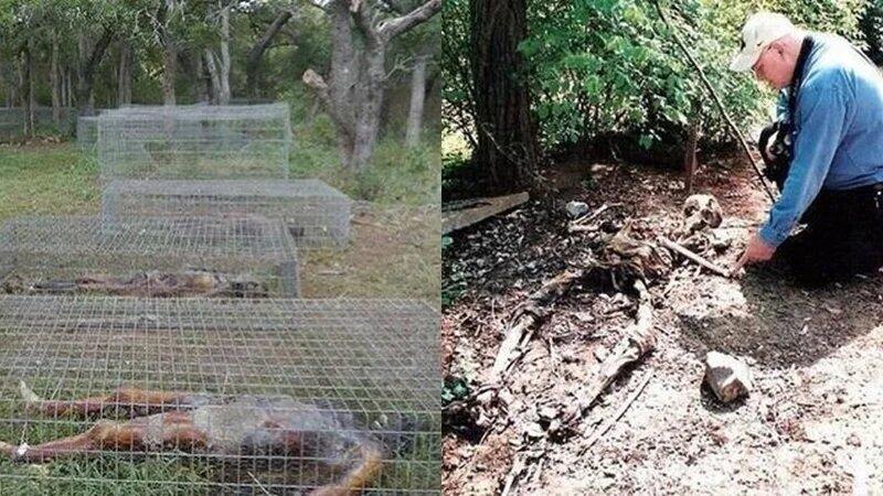 Menyeramkan, Ini Perkebunan Mayat di Amerika Serikat