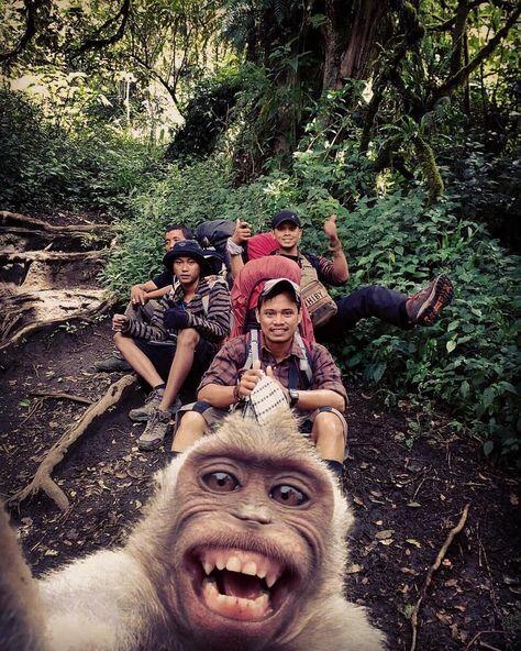 Agan Perlu Tahu ! Inilah 11 Larangan Saat Melakukan Pendakian Gunung